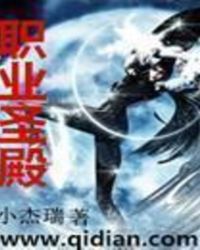 职业圣殿