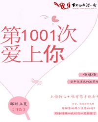 第1001次爱上你