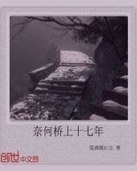 奈何桥上十七年
