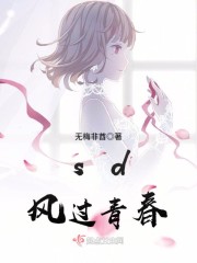 sd风过青春