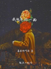 我想见你一面